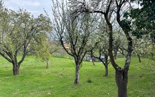 Teren | Intravilan | 855 MP - Poză 2