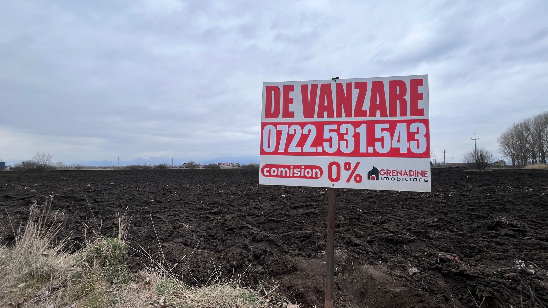 Teren 50000mp Extravilan-Intrare Halchiu-Cod 5235 - Poză 1