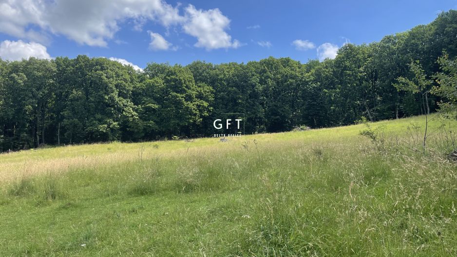 Teren , sub liziera padurii. Str. Tabara, 7 min. de Centru Pietonal - Poză 1