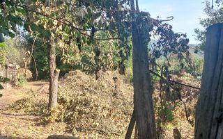 CASĂ DE VÂNZARE 2 CAMERE\ ZĂVOI\ JUD. CARAȘ-SEVERIN - Poză 3