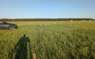 Vanzare Teren Constructii 1000 mp in Pipera Voluntari, - Poză 4