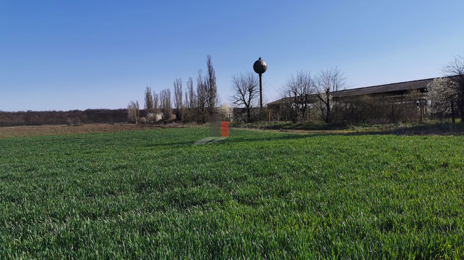 Teren in apropiere de Autostrada Bucuresti Ploiesti - Poză 2