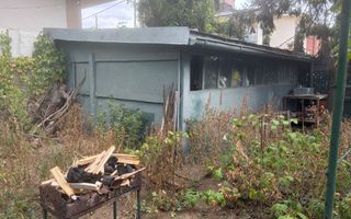 Teren cu construcții și potențial de dezvoltare | Ciupercă – Domenii - Poză 4