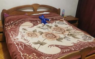 Apartament 3 camere, Podu Roș, Iași, 76 mp, etaj 1 - Poză 7