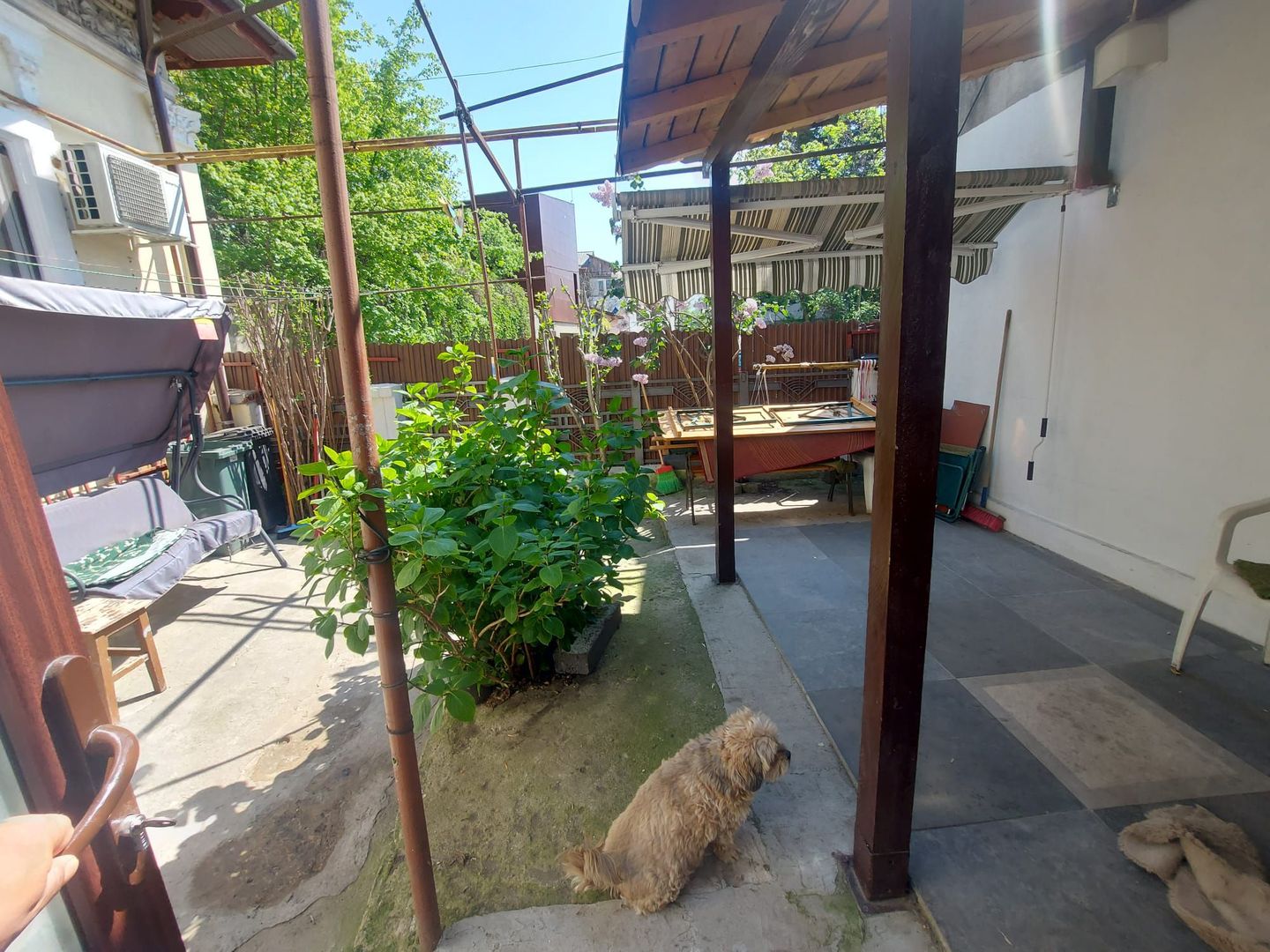 Casa curte / 2 camere / Banu Manta / Titulescu / Primăria sectorului 1 - Poză 20