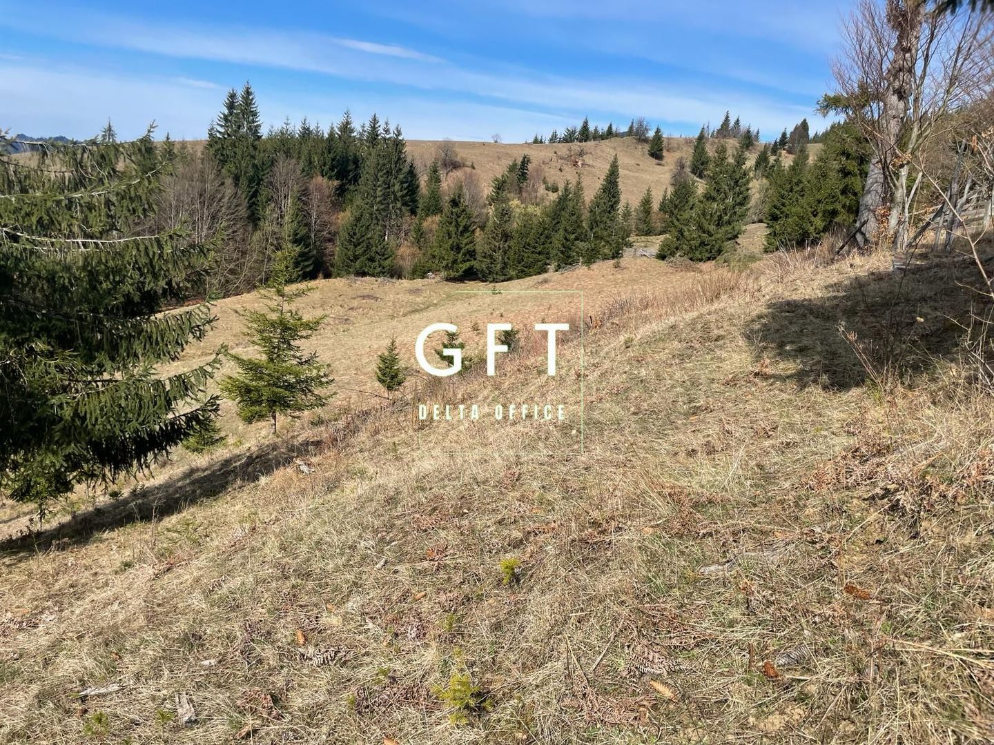 Teren intravilan parcelabil- 17703 mp,Colibita - Poză 8