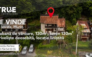 Casă de vacanță de vânzare – Sovata, județul Mureș - Poză 1