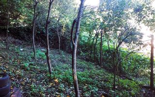 Casă Valea Roșie, Baia Mare - Poză 14