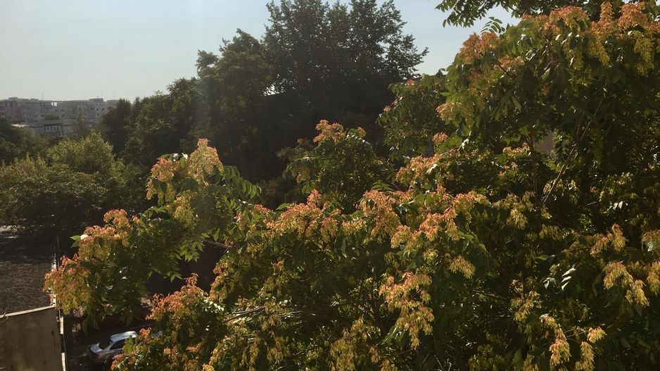 GARSONIERA la Mall Vitan, 39 mp, et 4, renovata, mobilata nou - Poză 14