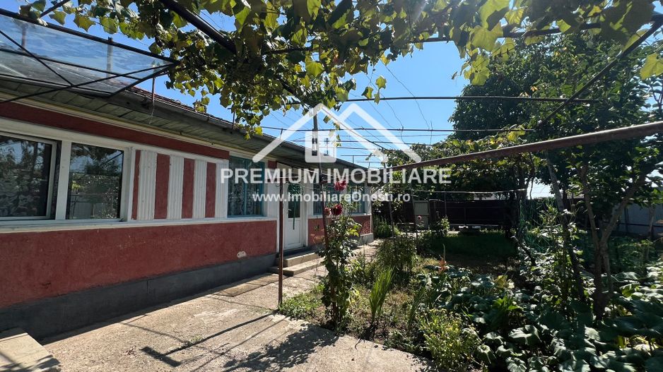 Casa de vânzare – Onești, Sat Catolic | 99 mp | Teren 1.000 mp - Poză 9