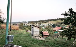 De vanzare 2 case cu 4.900 mp teren, Livezeni 0% comision - Poză 5