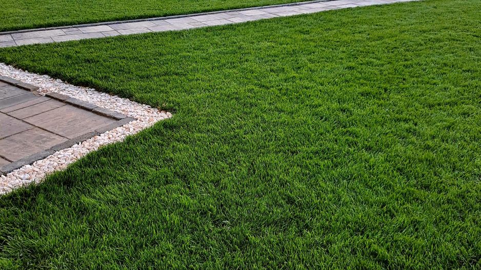 Comisiom 0% Vila 2022  teren 1000 mp Ciorogarla - Poză 43