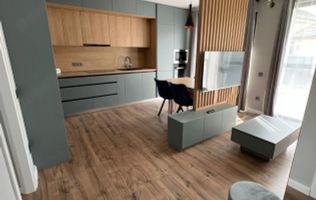 P 4223 Apartament cu 2 camere în Târgu Mureș, Semicentral, loc de parcare inclus