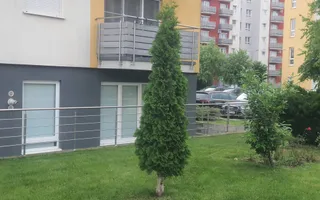 Apartament 1 cameră | 42 mp | Avantgarden | Doamna Stanca - Poză 14