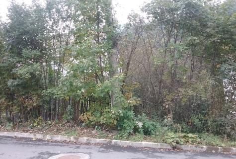 teren intravilan Azuga - Poză 4