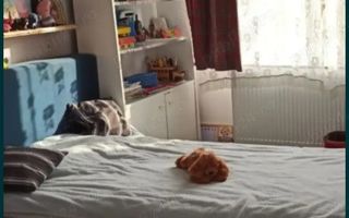 3 Camere | Ultracentral | Lift | Dublu vedere | Renovat complet | - Poză 2