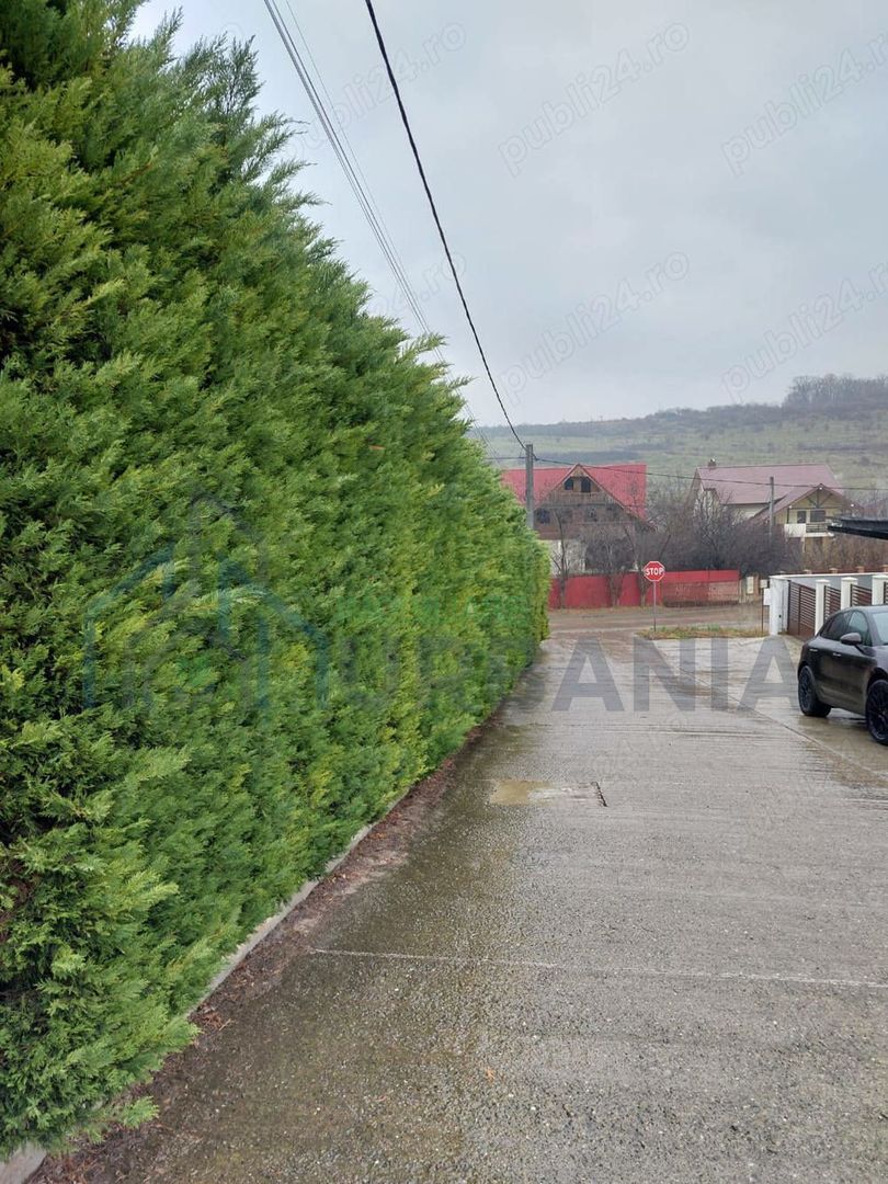 Teren Bucium, 3 minute de Hanul 3 sarmale, la Soseaua Barnova - # - Poză 8