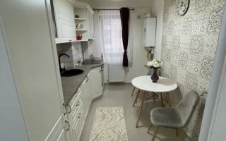 ETAJ 1-AP 3 CAMERE DECOMANDAT - ZONA BUCIUM IN SPATE LA LIDL - Poză 3