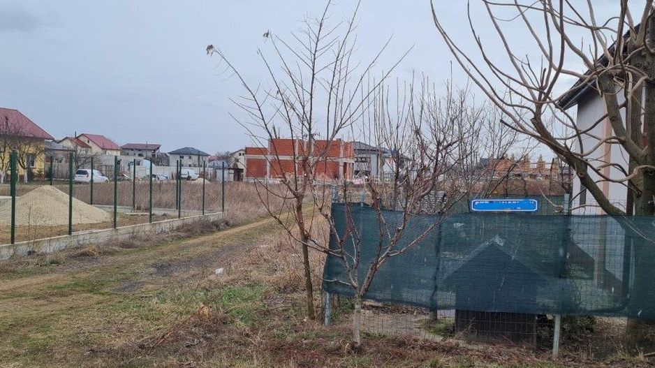 Teren Bragadiru -  Varteju - Magurele - Poză 5
