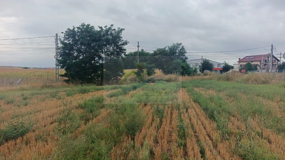 Teren de vânzare Moara Nică/Suceava - Poză 8