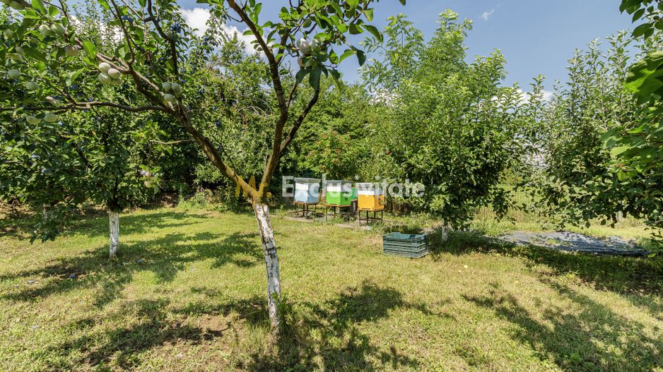 Casă de vânzare Tâncăbești cu grădină, aproape de lac - Poză 27