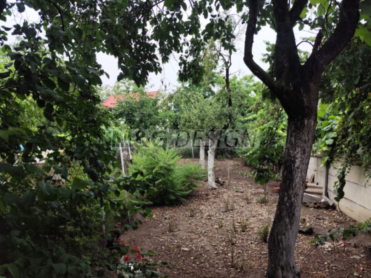 Casa veche zona Bogdanestilor cu teren 1033mp - Poză 3