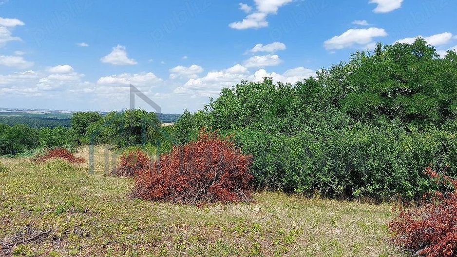 Teren intravilan, Curaturi, comuna Ciurea, 6310 mp - Poză 4