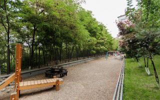 Vânzare, apartament, 2 camere, strada Dr. Tudor Strișcă, Botanica - Poză 19