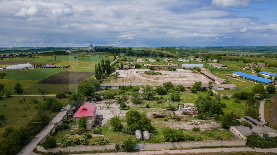 Vânzare,teren pentru construcție,1,18 ha, satul Maximovca, Anenii Noi - Poză 29