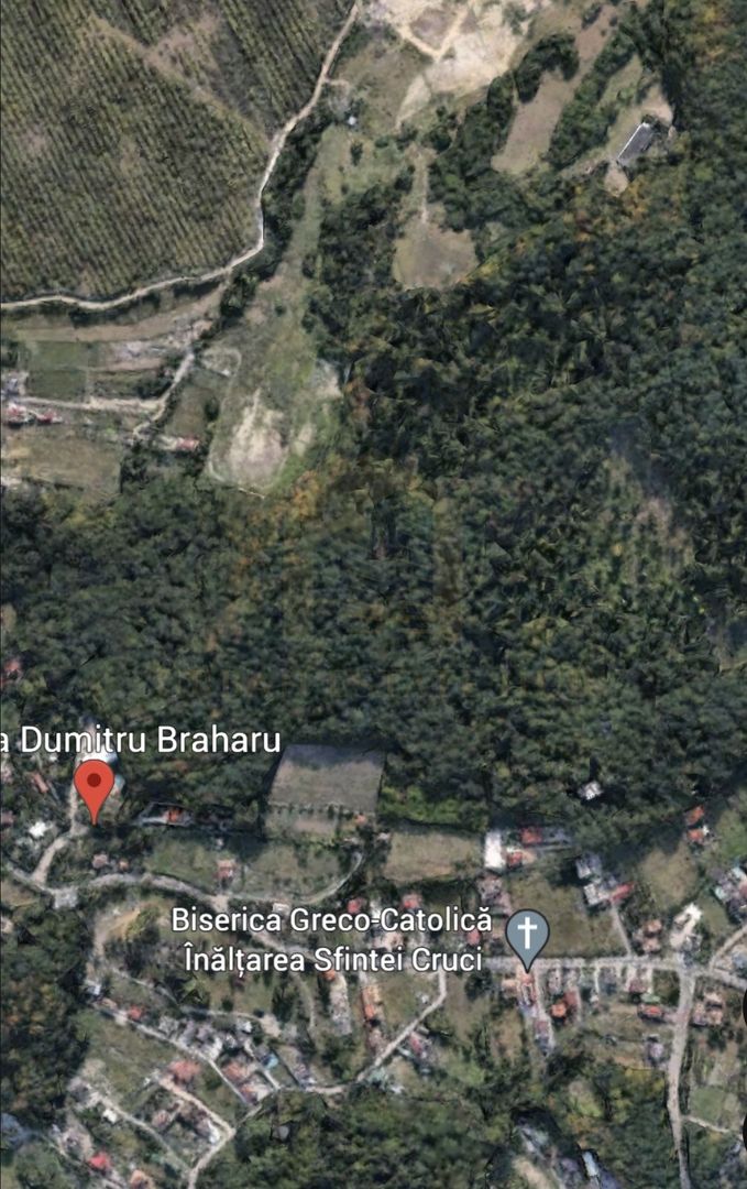 Vânzare teren pentru casa de vacanta, cabana, zona Pensiunea Serena - Poză 5