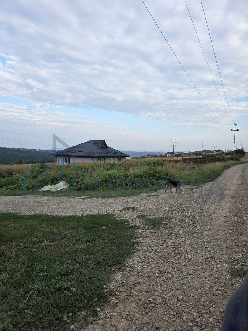 Teren intravilan de vanzare in Valea Lupului, Strada Rubinului - Poză 2