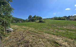 Casă cu teren de 1,4 hectare și vie, în Raducaneni - 3 camere - Poză 3