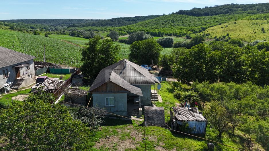 Casă cu priveliște spre pădure și 25,7 ari de teren – Hîrbovăț, r. Anenii Noi - Poză 4