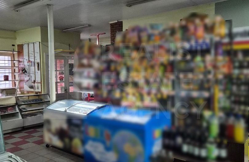 Vânzare spatiu comercial, 125 mp, sat Zgurița, r- nul. Drochia. - Poză 7