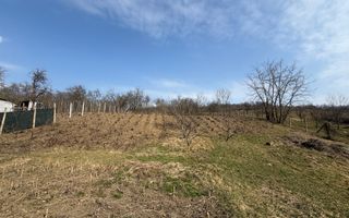 Teren intravilan Dobrovat + Casa Batraneasca - Poză 4