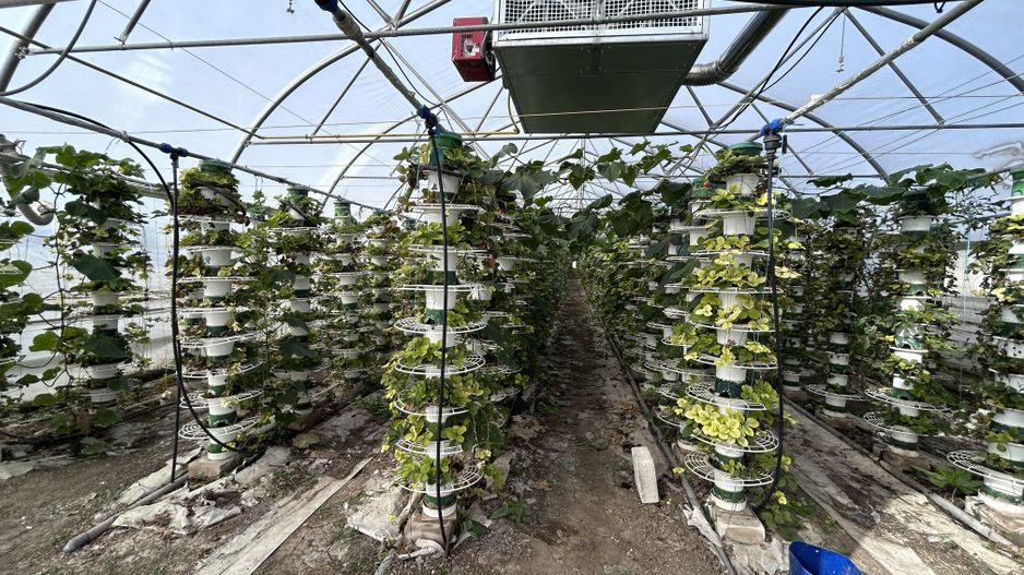 De vanzare-afacere la cheie - Poză 6