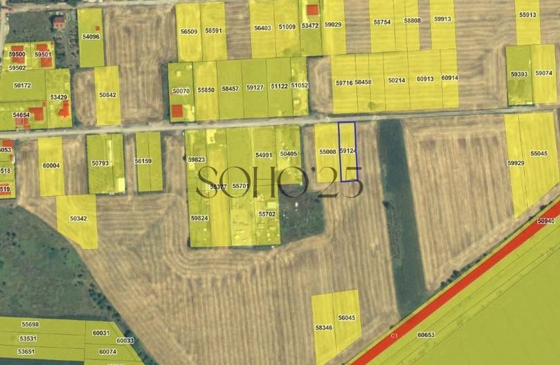 Teren intravilan Caciulati/Moara Vlasiei - Poză 2