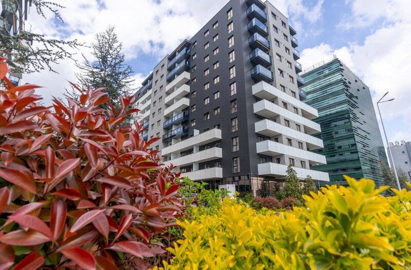 APARTAMENT 2 CAMEREI CORTINA NORTH I PIPERA - Poză 3