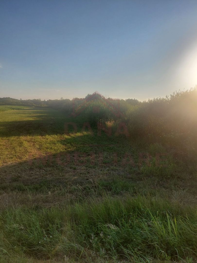 TEREN DE VÂNZARE-32480 mp CARANSEBEȘ JUD.CS,  0% COMISION - Poză 4