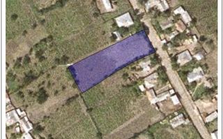 Teren intravilan de 1550 mp în localitatea Buznea, strada Corneliu Coposu - Poză 7