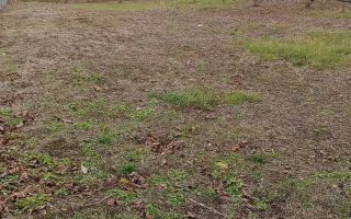 Casă nelocuibila cu teren Sculeni! - Poză 4