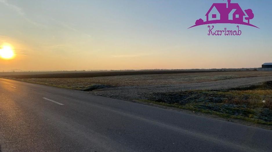 Parcele de teren industrial pentru diferite activitati economice - Poză 5