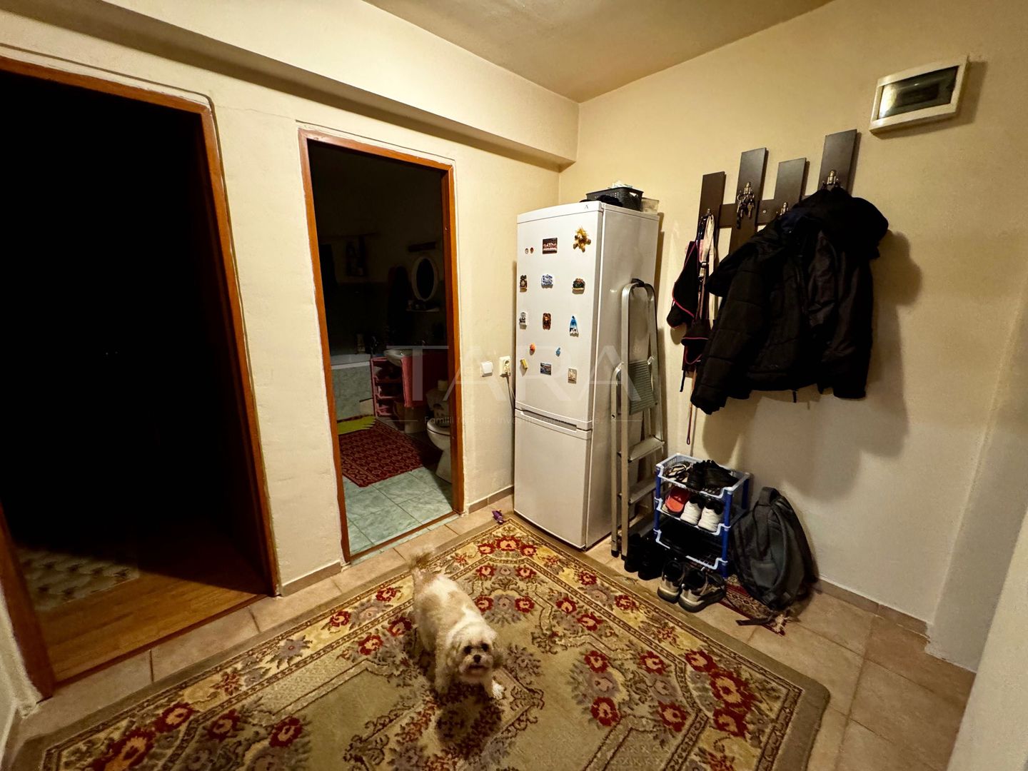 Apartament 2 camere, Florești, zona Terra - Poză 4