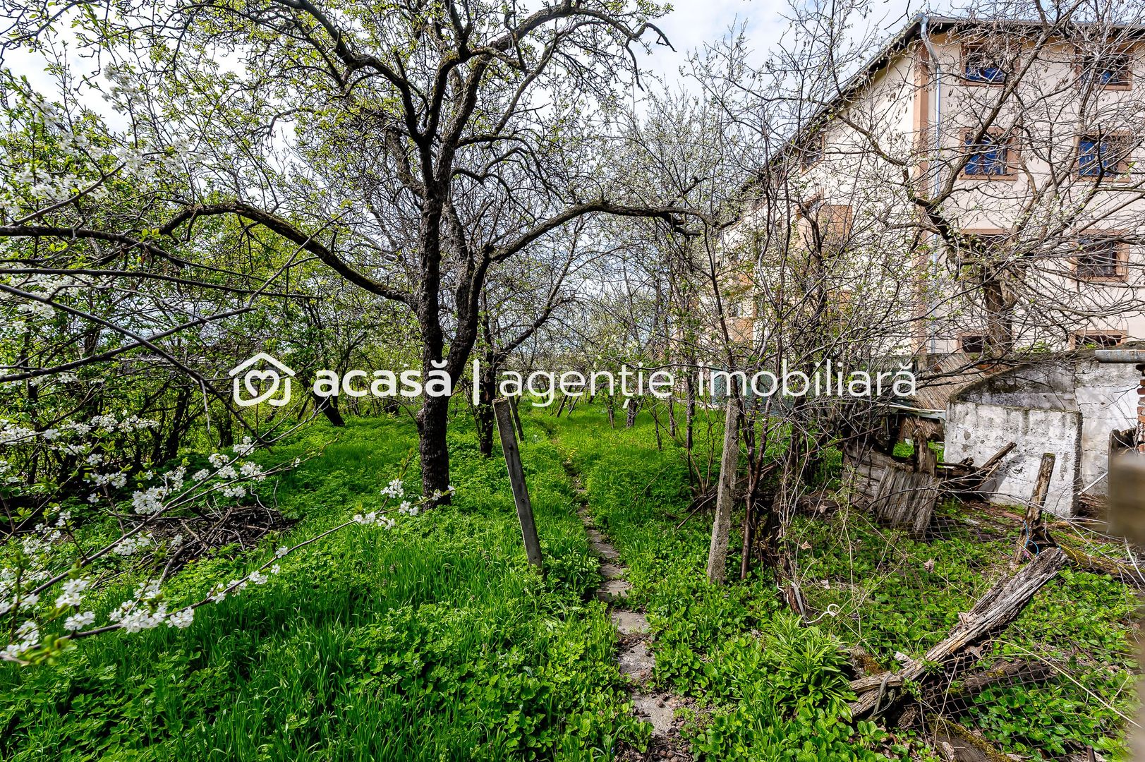 Ocazie Casa veche cu teren generos de 1095 mp in Parneava - Poză 3