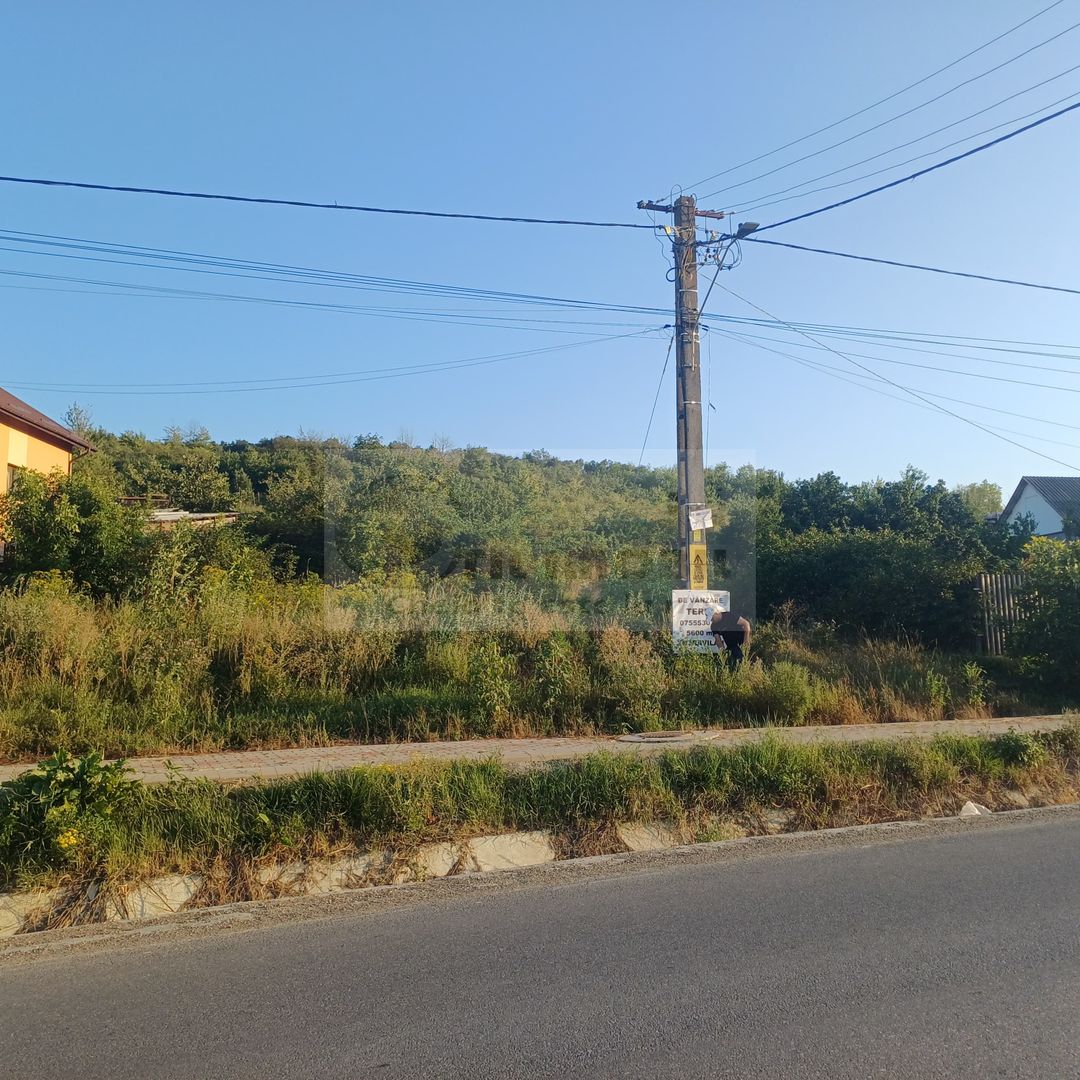 TEREN TOMESTI 35 EURO MP NEGOCIABIL - Poză 1