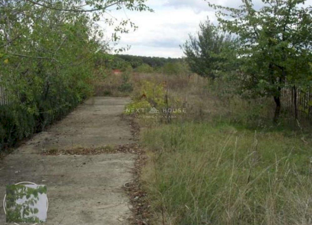 Casa Vacanta Izvorani - Poză 5