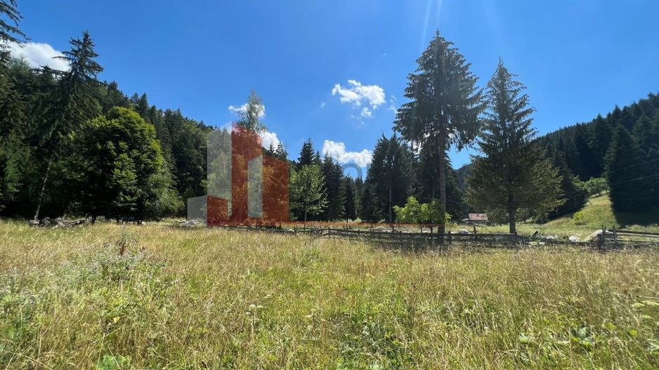 Teren Bran Poarta langa Padure - Poză 1