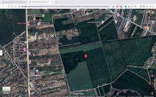 Teren extravilan 18.200 mp Saftica Balotesti - Poză 2