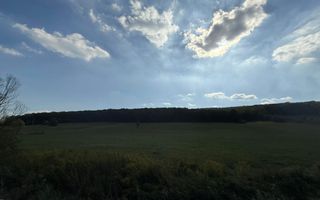 Teren intravilan budiu mic 9700 m², perfect pentru complex rezidențial - Poză 3