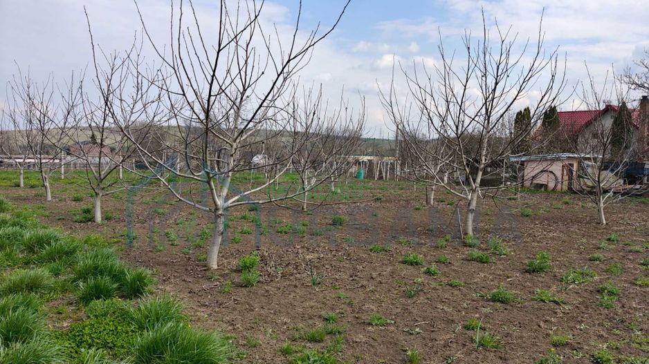 Teren intravilan de 5800 mp, sat Mădârjesti (lângă Sârca) - Poză 4